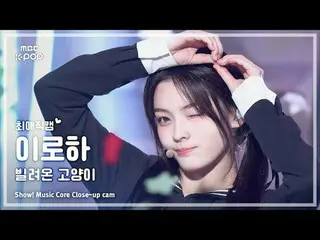 [#最愛直カム ] ILLIT_ _  IROHA (ILLIT_  いろは) – 借りた猫(Do the Dance) |ショー！ 音楽センター| MBC25