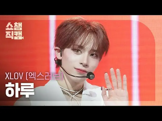 [SHOW CHAMPION_ 直居 4K] XLOV_ _  HARU - ビジネス#SHOW CHAMPION_ 피언 #SHOW CHAMPION_直居 