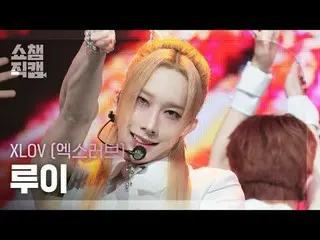 [SHOW CHAMPION_ 直居 4K]
 XLOV_ _  RUI - ビジネス

#SHOW CHAMPION_ 피언 #SHOW CHAMPION_直