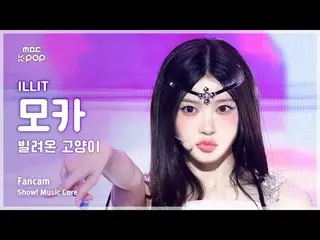 [#陰中直カム] ILLIT_ _  MOKA (ILLIT_  モカ) – 借りた猫 (Do the Dance) FanCam | REVOLVEショー！ 