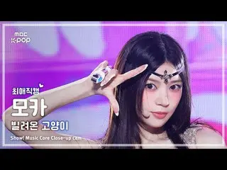 [#チェ・エ・カム] ILLIT_ _  MOKA (ILLIT_  モカ) – 借りた猫(Do the Dance) |

 #ILLIT_ _  #モカ #