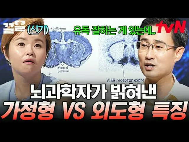 テレビでストリーミング: #tvN #たぶん大人tvN レジェンドバラエティ引き上げ～アップ↗↗ #テレビでストリーミング