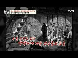 テレビでストリーミング:

 2 10回|囚人たちの地獄！オーストラリアはどのように富の天国になりましたか？

 〈裸の世界史〉
 [火]夜10時10分tvN放