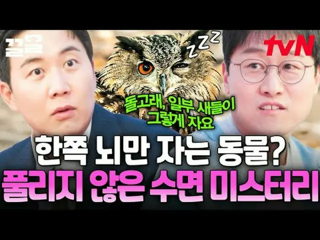 テレビでストリーミング:  #tvN #文科vs理想的な証明 # tvN レジェンドバラエティ引き上げ～アップ↗↗ #テレビでストリーミング