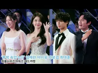 250718 第 4 回 Blue Dragon シリーズ賞 IU_ ̈ ファンカム by 스피넬
 * 編集しないでください。再アップロードしないでください。