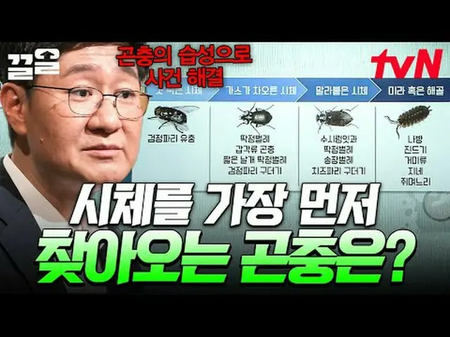 テレビでストリーミング: #tvN #たぶん大人tvN レジェンドバラエティ引き上げ～アップ↗↗ #テレビでストリーミング