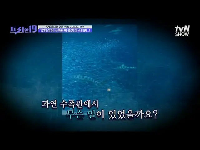 テレビでストリーミング: #チョン・ヒョンム_  #オ・サンジン #ハン・ソクジュンフリー19 free19 EP.477専務後無限スクープランキング毎週(月)