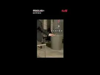 テレビでストリーミング:

鉄人になった彼女たちの終わらない挑戦！
恐怖を振り払い、自分の限界を超えて拳を伸ばす彼女たち！
 〈鋳鉄少女団〉の血、汗、涙の入った