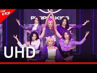 PURPLE KISS_�_�、Ponzona (PURPLE KISS_�、Ponzona) [THE SHOW 210406] UHD

 K-POP

韓