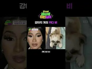 子犬系のカーディビ
#チョン・ヒョンム_  #ペク・チヨン_  #キム・ホヨン #スビン
 #SBS木工芸能 #と本物の世界でYIRENの仕事 #WhatonE