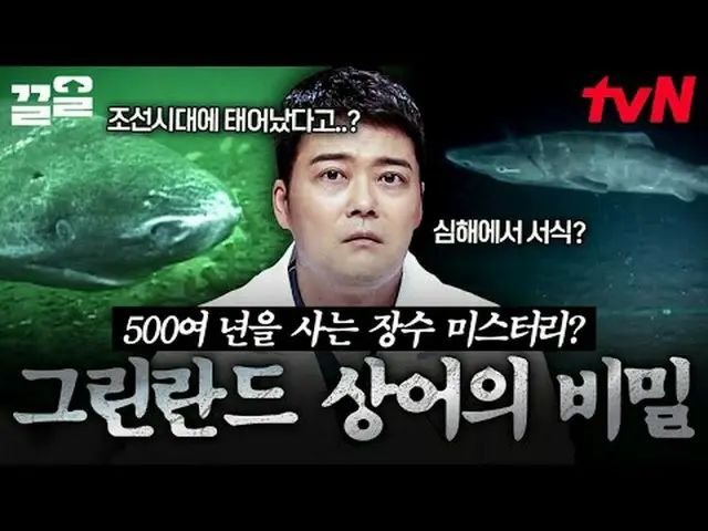 テレビでストリーミング: #tvN #フリーハン19 tvN レジェンドバラエティ引き上げ～アップ↗↗無料19 free19専務後無限スクープランキング🔍毎週
