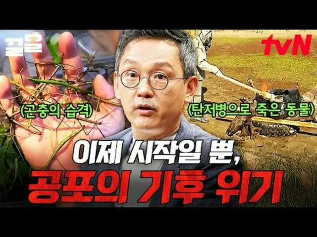 テレビでストリーミング: #tvN #未来授業tvN レジェンドバラエティ引き上げ～アップ↗↗ #テレビでストリーミング