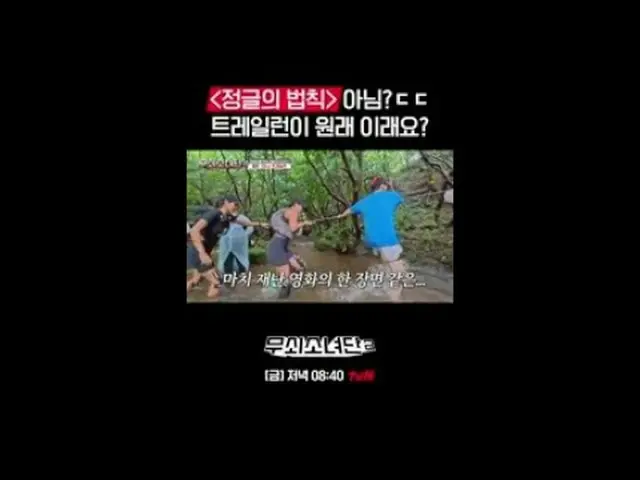 テレビでストリーミング:鉄人になった彼女たちの終わらない挑戦！恐怖を振り払い、自分の限界を超えて拳を伸ばす彼女たち！ 〈鋳鉄少女団〉の血、汗、涙の入ったボクシン