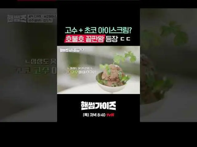 [ハンサムガイド] ✔[木]夕方8:40 tvN #tvN #ハンサムガイド #HAN_ DSOMEGUYS #チャ・テヒョン_  #キム・ドンヒョン #イ・イ