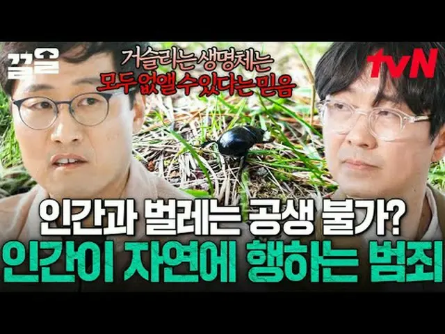 テレビでストリーミング: #tvN tvN レジェンドバラエティ引き上げ～アップ↗↗ #テレビでストリーミング