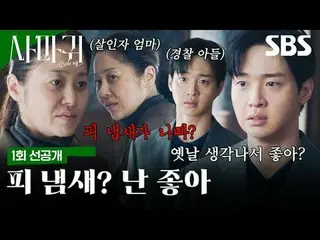 残酷な連鎖殺人魔「疣贅」が捕まってから20年が過ぎて模倣犯罪が発生し、この事件解決のために刑事が生涯を憎んだ「疣贅」の母親と予期せぬ空調捜査を繰り広げて繰り広げ