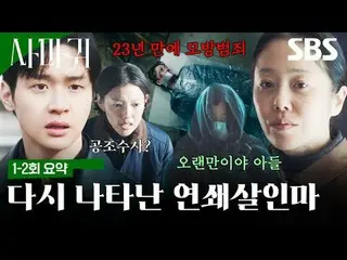 残酷な連鎖殺人魔「疣贅」が捕まってから20年が過ぎて模倣犯罪が発生し、この事件解決のために刑事が生涯を憎んだ「疣贅」の母親と予期せぬ空調捜査を繰り広げて繰り広げ