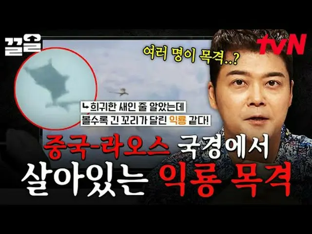テレビでストリーミング: #tvN #フリーハン19 tvN レジェンドバラエティ引き上げ～アップ↗↗無料19 free19専務後無限スクープランキング🔍毎週