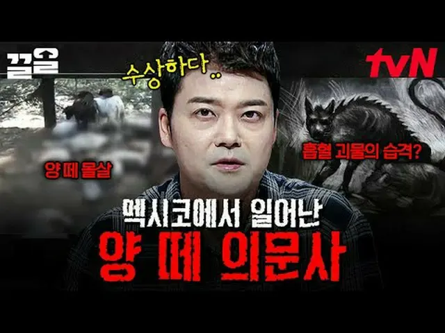 テレビでストリーミング: #tvN #フリーハン19 tvN レジェンドバラエティ引き上げ～アップ↗↗無料19 free19専務後無限スクープランキング🔍毎週