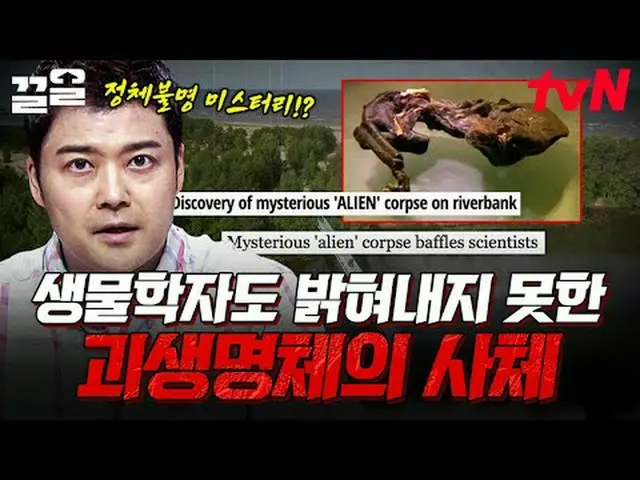 テレビでストリーミング: #tvN #フリーハン19 tvN レジェンドバラエティ引き上げ～アップ↗↗無料19 free19専務後無限スクープランキング🔍毎週