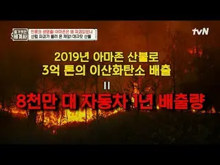 テレビでストリーミング:

 2 19回|人類のライフラインだったAmazonはなぜ破壊されたのか

〈裸の世界史〉
 [火]夜10時10分tvN放送

 #裸