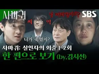 残酷な連鎖殺人魔「疣贅」が捕まってから20年が過ぎて模倣犯罪が発生し、この事件解決のために刑事が生涯を憎んだ「疣贅」の母親と予期せぬ空調捜査を繰り広げて繰り広げ