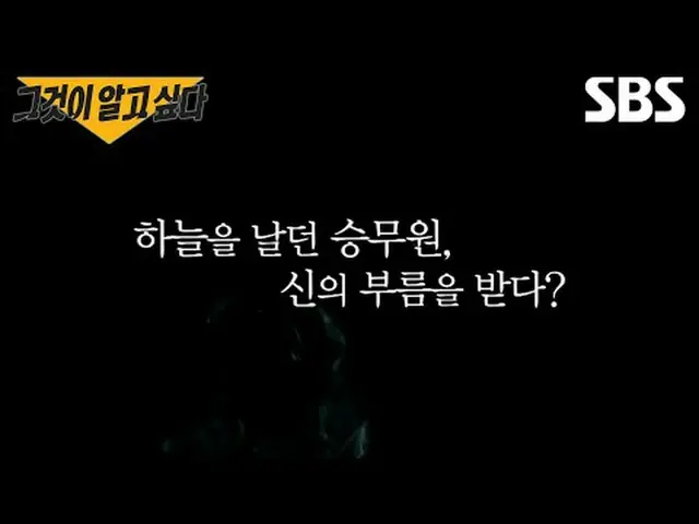 #SBSプレビュー #SBS教育 #それが知りたい#UnansweredQuestions #グアル #グアル予告SBS「それが知りたい」 ☞[土]夜11時10