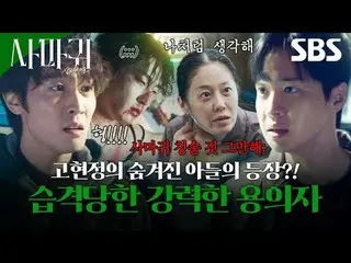 残酷な連鎖殺人魔「疣贅」が捕まってから20年が過ぎて模倣犯罪が発生し、この事件解決のために刑事が生涯を憎んだ「疣贅」の母親と予期せぬ空調捜査を繰り広げて繰り広げ
