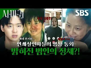 残酷な連鎖殺人魔「疣贅」が捕まってから20年が過ぎて模倣犯罪が発生し、この事件解決のために刑事が生涯を憎んだ「疣贅」の母親と予期せぬ空調捜査を繰り広げて繰り広げ