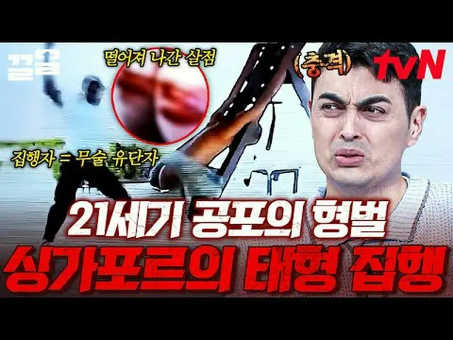 テレビでストリーミング: #tvN #裸の世界史tvN レジェンドバラエティ引き上げ～アップ↗↗ 📚オンタクトストーリーテリング〈裸の世界史〉毎週[火]夕方1