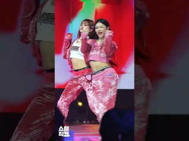 [ SHOW CHAMPION_ 1分直カム ] GENBLUE NICO(ゼンブルーニコ)の＜BADA_ SS＞♬ #GENBLUE #ニコ