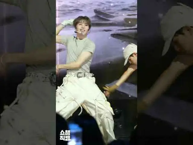 ショーツで集める POW_ _ (パウ)の＜Wall Flowers＞♬ #POW_ _  #パウ #Wall_Flowers