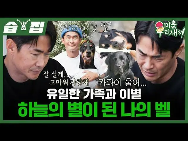 唯一の家族と別れの空の星になった私の鐘#ペ・ジョンナム_  #ベル#SBS日芸芸能 #醜い私たちの子 #MyLittleOldBoy SBS「嫌いな子」 ☞[日