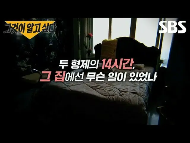 #SBSプレビュー #SBS教育 #それが知りたい#UnansweredQuestions #グアル #グアル予告SBS「それが知りたい」 ☞[土]夜11時10