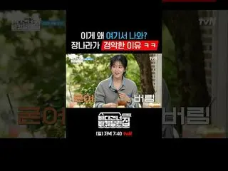 〈海を渡る車輪付きの家：北海道側〉 ✔[日]夕方7:40放送 #tvN #海を越えて走る家北海道#ソン・ドンイル_  #キム・ヒウォン #チャン・ナラ_ _  