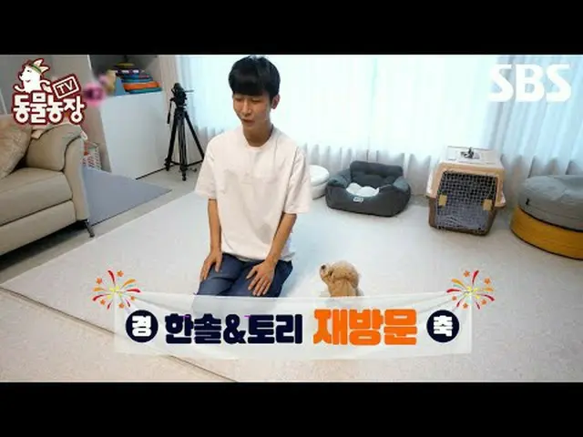 #シン・ドンヨプ #チョン・ソニ(チョン・ソンヒ)_  #トニー・アン(HOT)_  #ジョイ #SBS教育 #TV動物農場 #動物農場 #AnimalFarm