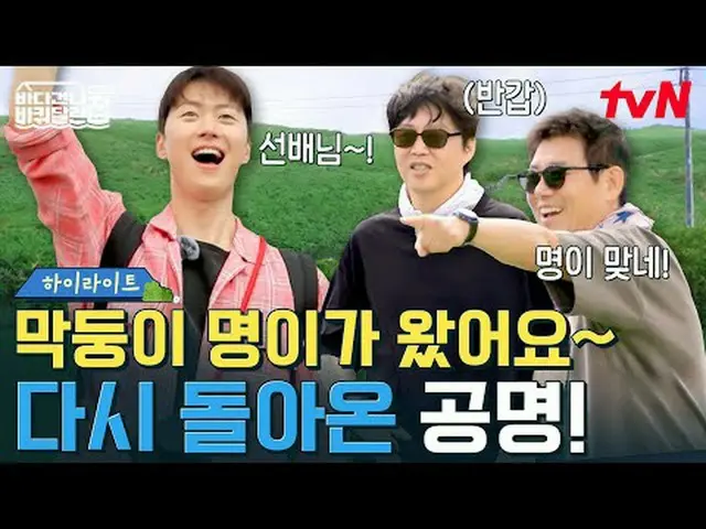 テレビでストリーミング:  #海を渡る車輪付きの家 #海を渡る車輪付きの家北海道便 #ソン・ドンイル_  #キム・ヒウォン #チャン・ナラ_ _ 海を渡る車輪付