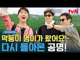 テレビでストリーミング:  #海を渡る車輪付きの家 #海を渡る車輪付きの家北海道便 #ソン・ドンイル_  #キム・ヒウォン #チャン・ナラ_ _ 海を渡る車輪付