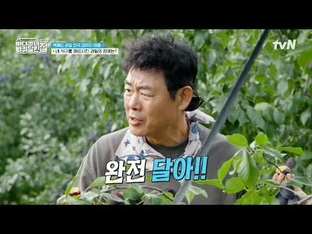 テレビでストリーミング:  #海を渡る車輪付きの家 #海を渡る車輪付きの家北海道便 #ソン・ドンイル_  #キム・ヒウォン #チャン・ナラ_ _ 海を渡る車輪付