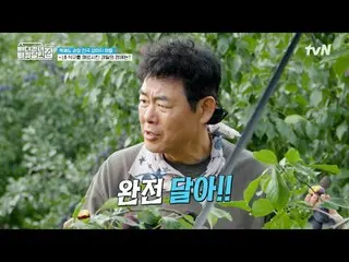 テレビでストリーミング:  #海を渡る車輪付きの家 #海を渡る車輪付きの家北海道便 #ソン・ドンイル_  #キム・ヒウォン #チャン・ナラ_ _ 海を渡る車輪付