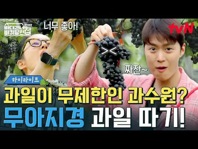 テレビでストリーミング:  #海を渡る車輪付きの家 #海を渡る車輪付きの家北海道便 #ソン・ドンイル_  #キム・ヒウォン #チャン・ナラ_ _ 海を渡る車輪付