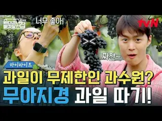 テレビでストリーミング:

  #海を渡る車輪付きの家 #海を渡る車輪付きの家北海道便 #ソン・ドンイル_  #キム・ヒウォン #チャン・ナラ_ _ 
海を渡る