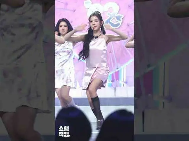 [ SHOW CHAMPION_ 1分直カム ] Hearts2Hearts_ _  YUHA(Hearts2Hearts_  ユハ)の＜FOCUS＞♬ #He
