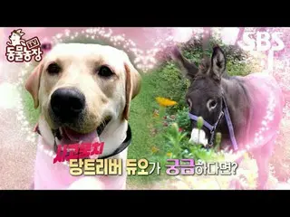 #シン・ドンヨプ #チョン・ソニ(チョン・ソンヒ)_  #トニー・アン(HOT)_  #ジョイ
 #SBS教育 #TV動物農場 #動物農場 #AnimalFar