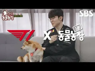 #シン・ドンヨプ #チョン・ソニ(チョン・ソンヒ)_  #トニー・アン(HOT)_  #ジョイ
#SBS教養 #TV動物農場 #動物農場 #AnimalFarm