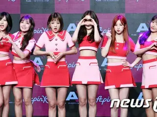 6thミニアルバム「Pink Up」ショーケースを開催した「Apink」