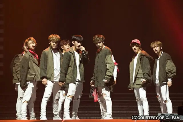 「Stray kids」
