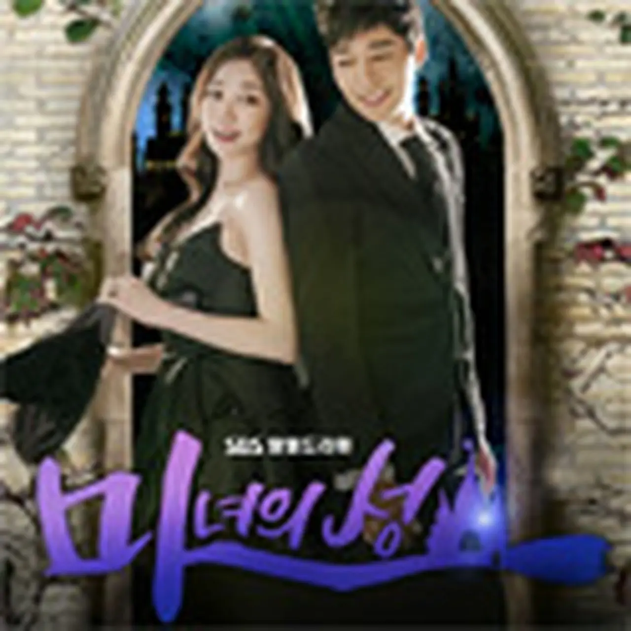 韓国ドラマ】DVD☆魔女の城(全話)☆ソ・ジソク チェ・ジョンウォン