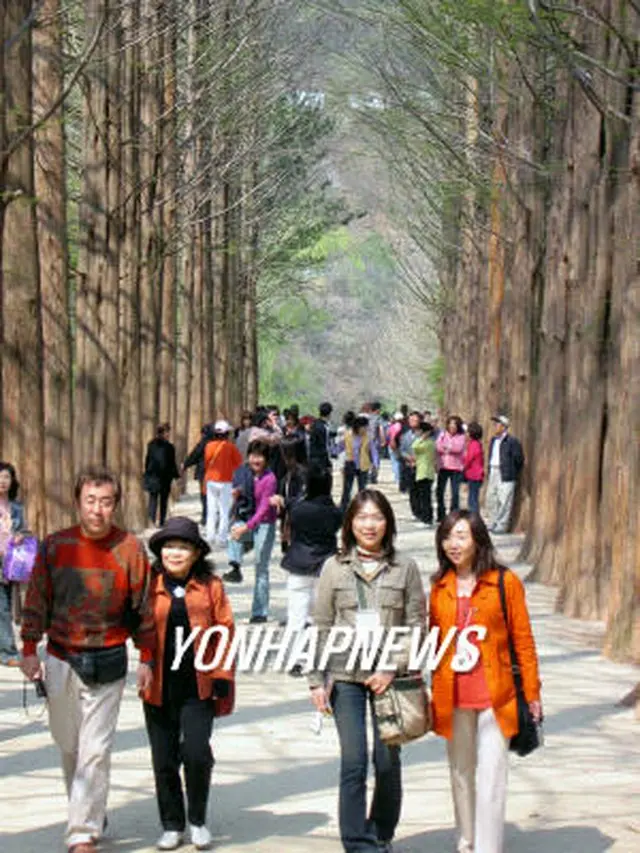 南怡島を訪れる日本人観光客＝２００５年、春川（聯合）