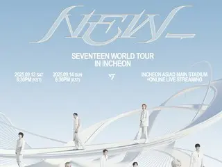 「SEVENTEEN」、13日仁川公演で客席に火花が散る事故…「治療手続きを積極的に支援」